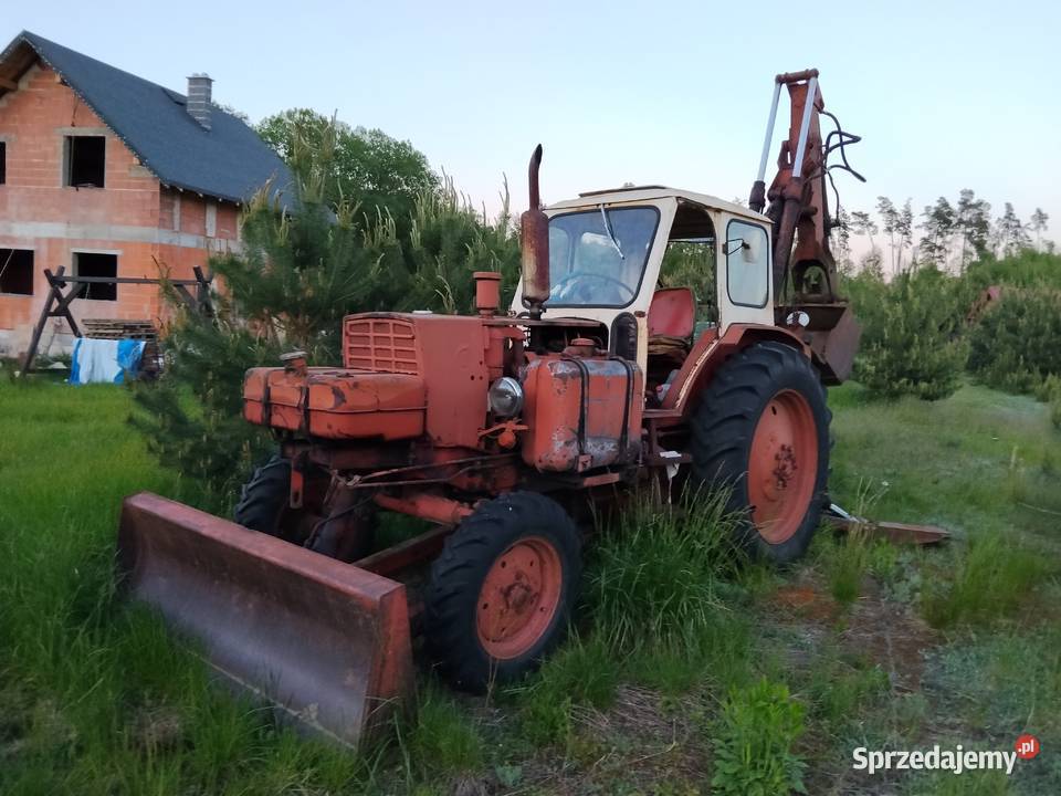 Koparko spycharka białoruśka Warszawa