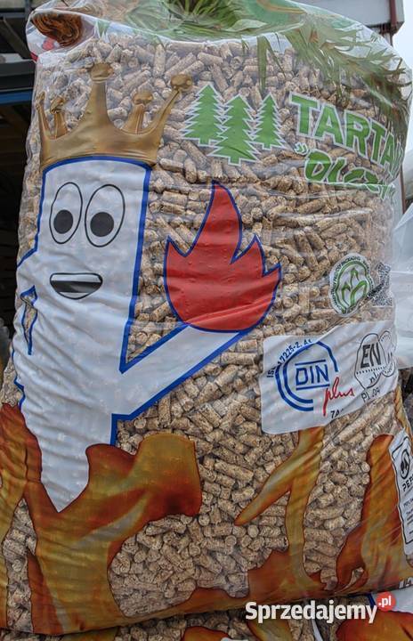 PELLET OLCZYK 6mm iglasty Brzeźno