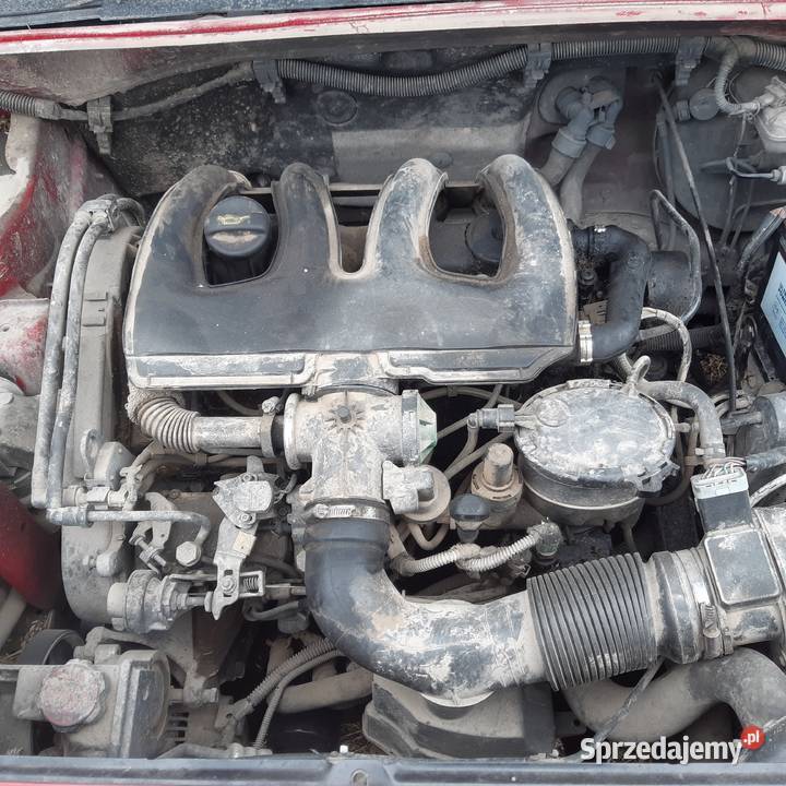 Citron Berlingo 20hdi 05r całość części Biała Podlaska