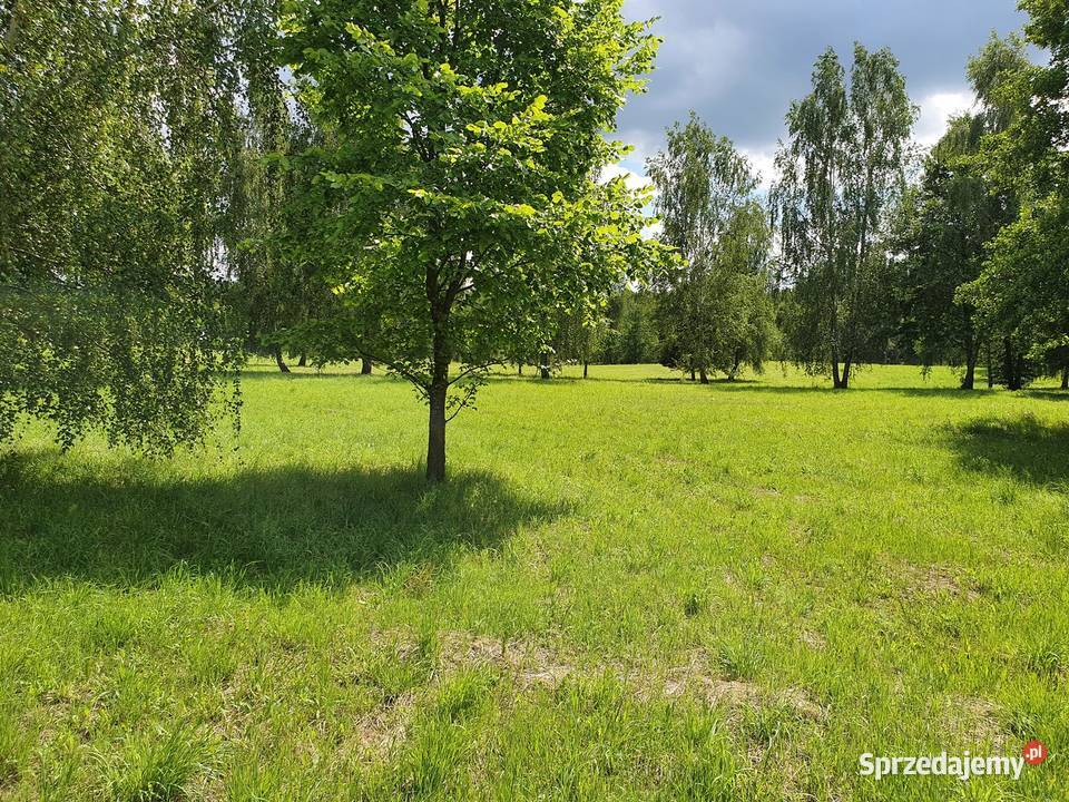 Śniardwy działka z linią brzegową Kwik