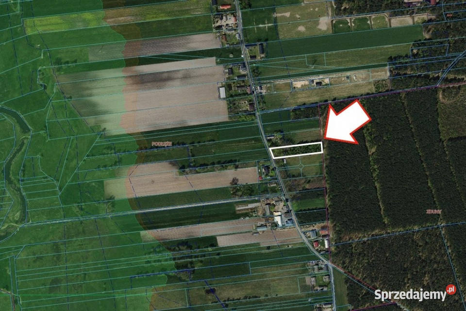 Duża działka 3116 m z WZ w spokojnej okolicy Podłęże