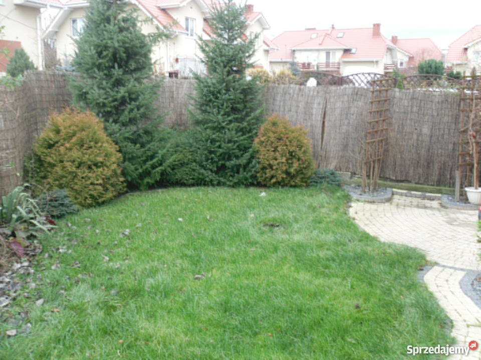 mieszkanie w segmencie bezczynszowe Kobyłka