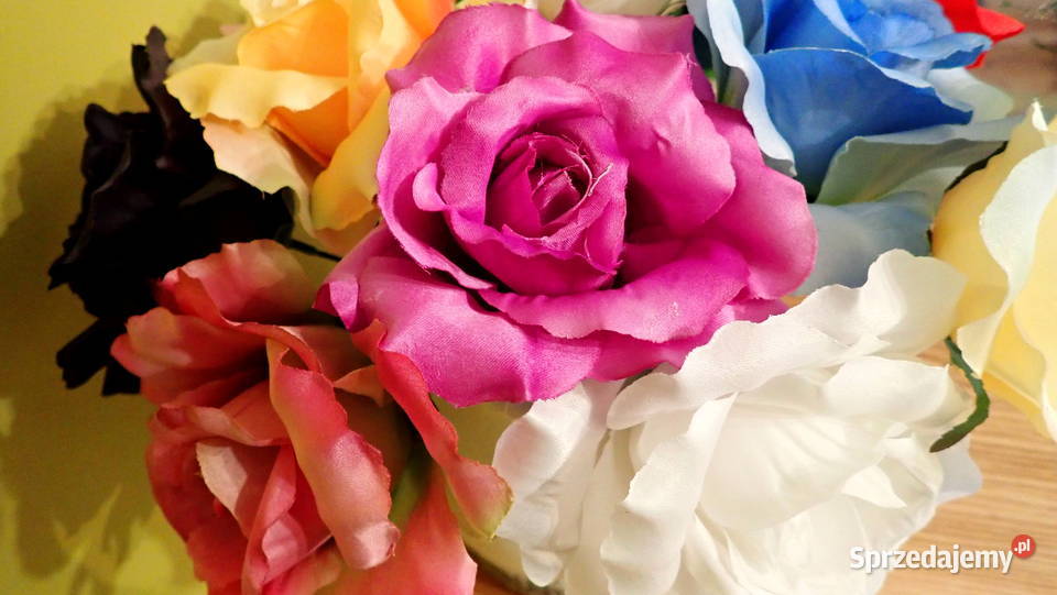 Róże rozwinięte różne kolory 1 śred 13 F004 Siewierz