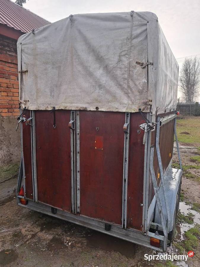 Przyczepka do przewozu koni Do przewozu koni