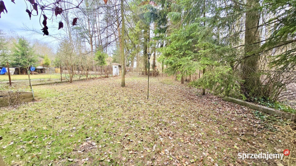 Działka zabudowana Zalesie Górne Kwiat Paproci