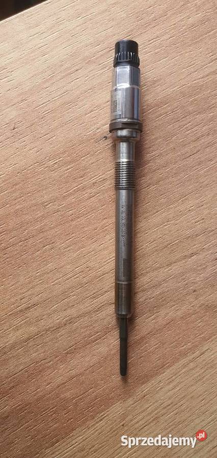 Świeca żarowa 03L905061K osobowe Szczecin