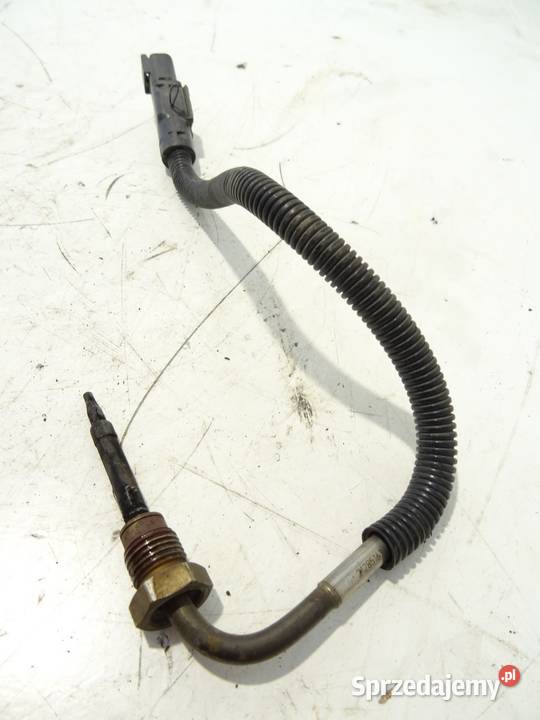 CZUJNIK TEMPERATURY SPALIN RENAULT TRUCKS T ciężarowe podkarpackie