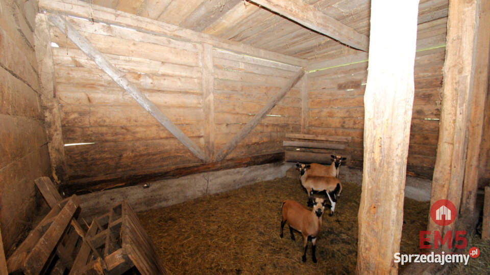 sprzedaży gruntu 1000m2 Suchowola utwardzona