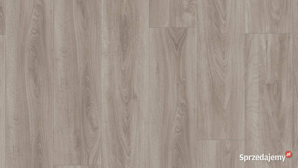 TARKETT Podłoga winylowa English Oak Grey Beige Podłogi i schody lubuskie Zielona Góra
