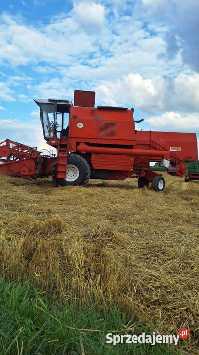 Bizon rekord Z058 Holland TCTX Brodnica