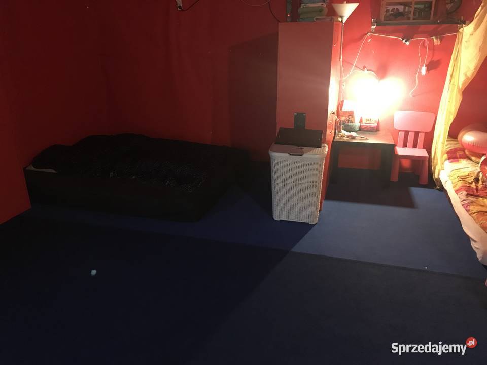 Działka ROD Środa Wielkopolska