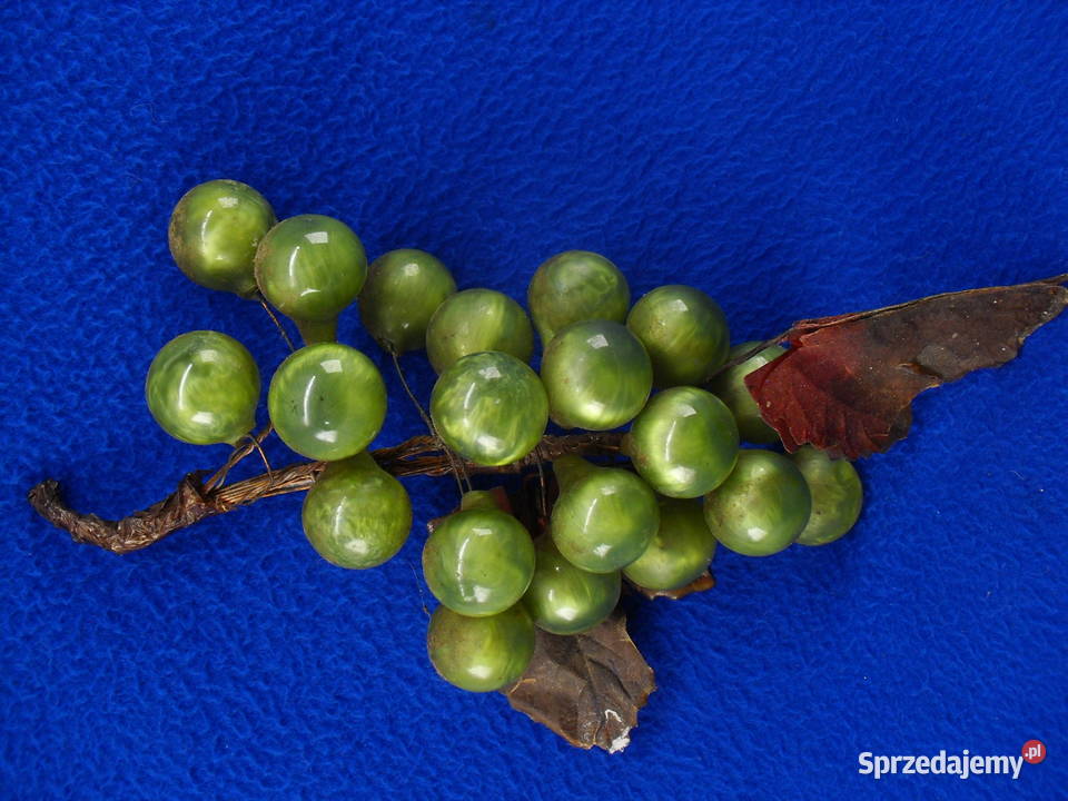 Winogrona ozdobne Bielawa