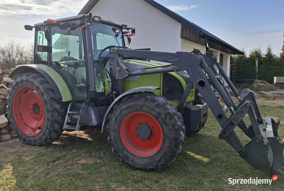 Claas Celtis 446RX Sandomierz