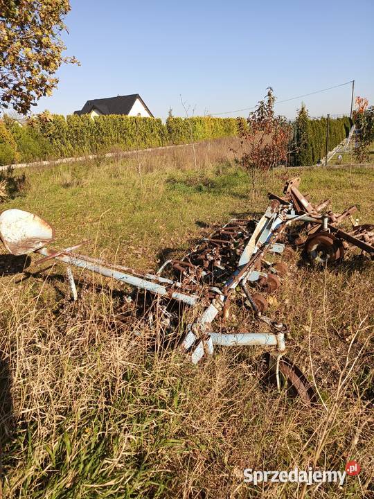 Pielnik do buraków i warzyw wielorak opiełacz mazowieckie Ciechanów