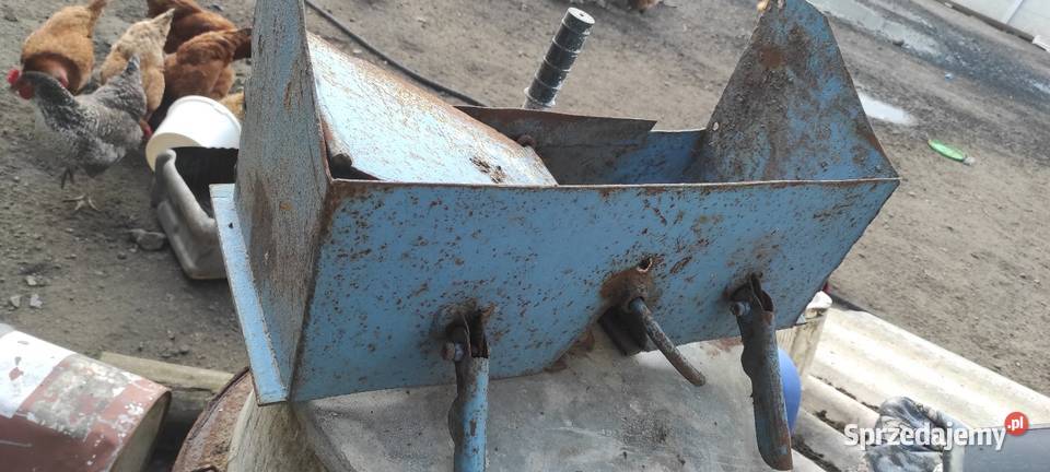 Workownica do Anny Ostrów Wielkopolski