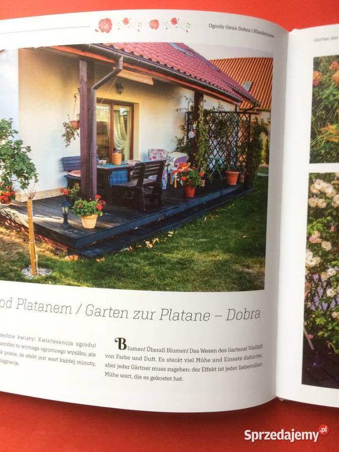 2709 Ogrody Antyki, Sztuka, Kolekcje Szczecin