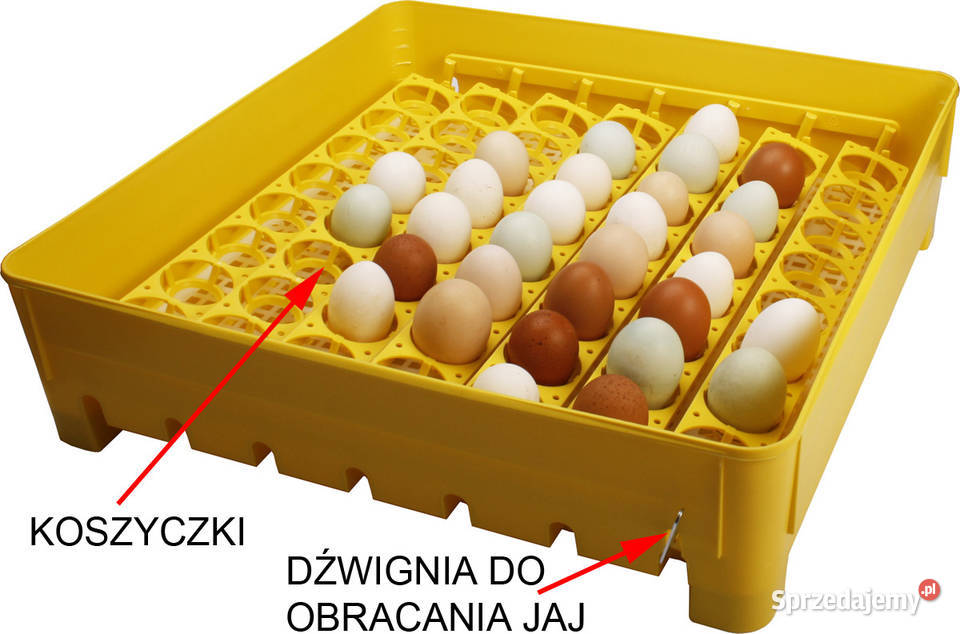 Inkubator IO1P TE klujnik wylęgarka półautomat Rzeszów