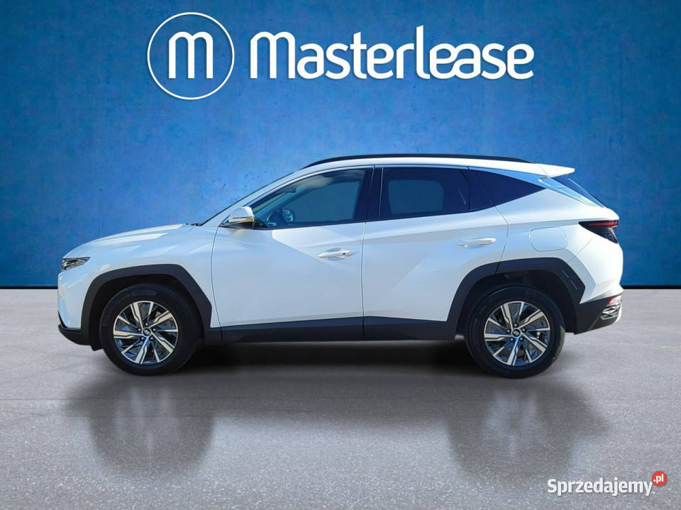 Hyundai Tucson 16 TGDi HEV Executive 4WD Z SUV