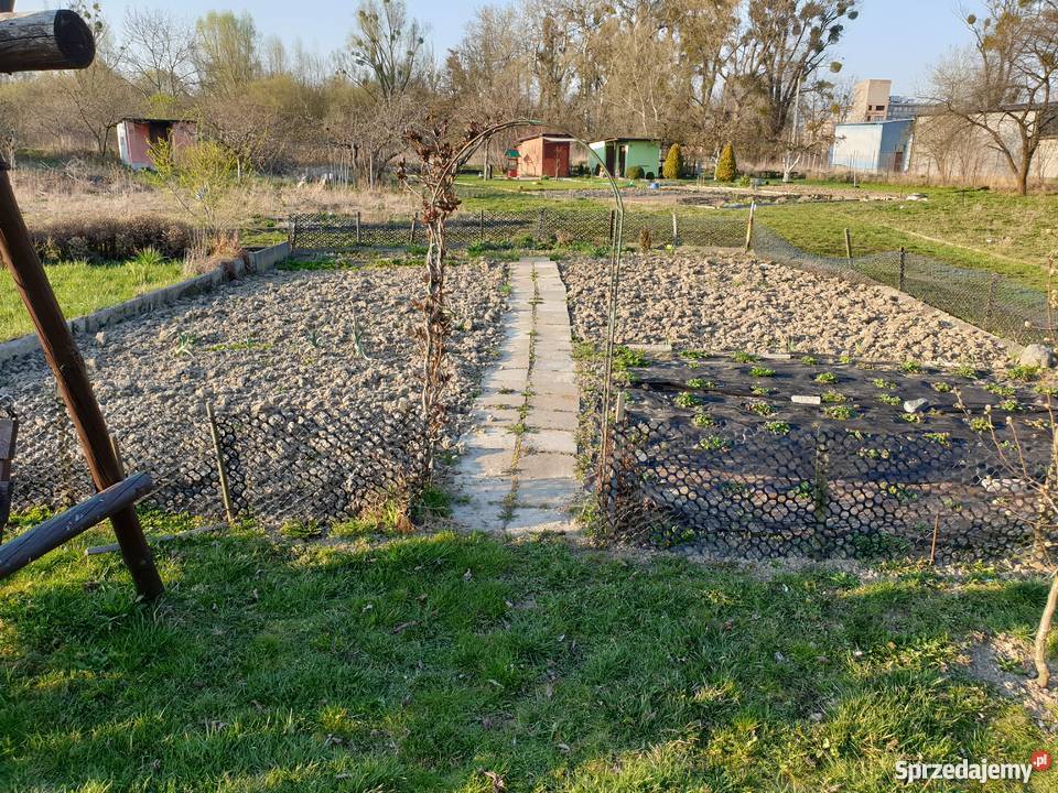 Działka ROD rekreacyjna ogrodowa Malbork