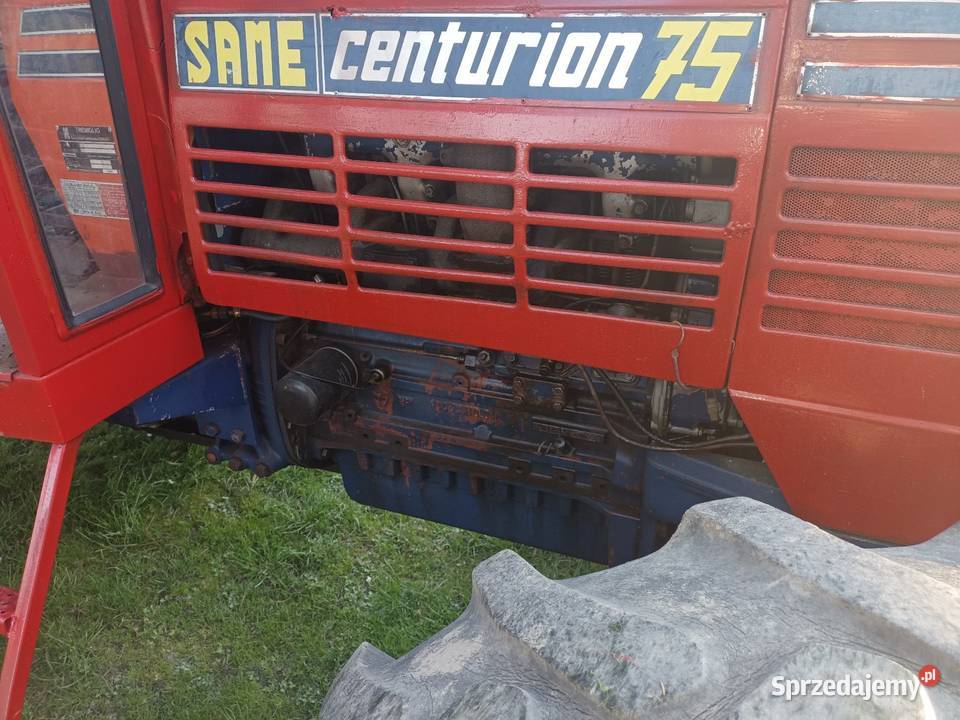 Same centurion export 75 Tarnowiec