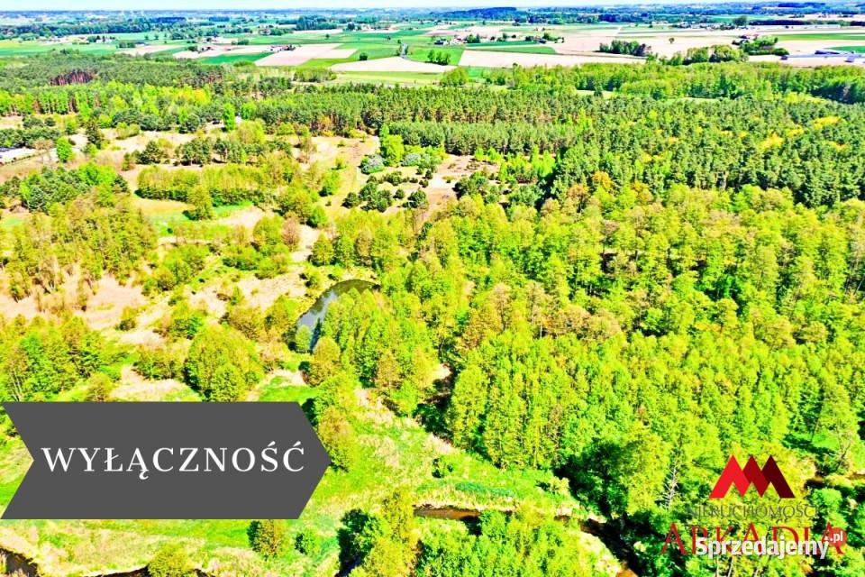 Działka 1200m2 Lipno 100m