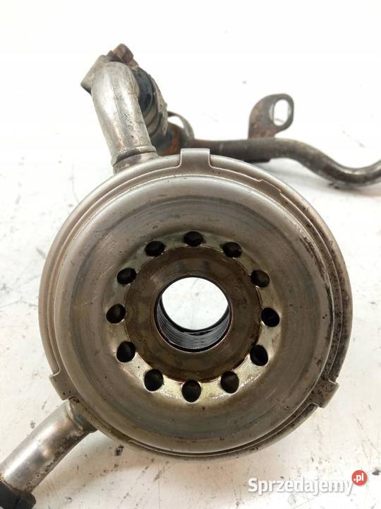 CHŁODNICA OLEJU 35 V6 VQ35DE Nissan Murano I Rok produkcji 2007 świętokrzyskie