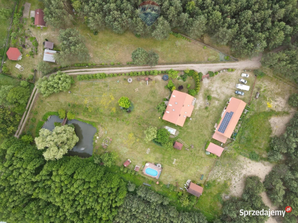 Ranczo w lesie z wyspą stawem basenem stajnią polna kujawsko-pomorskie Gnojno