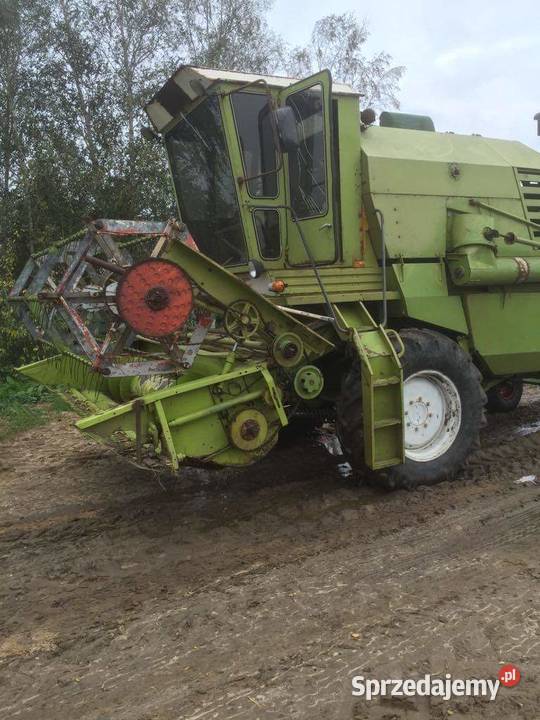 Claas mercator 75 lubelskie Dębowiec