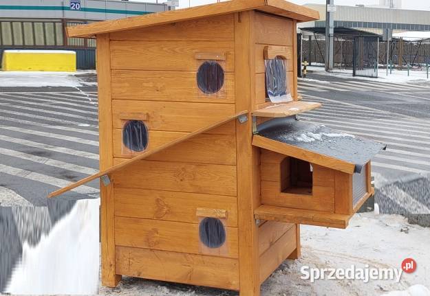 domk kotów łódzkie Skierniewice