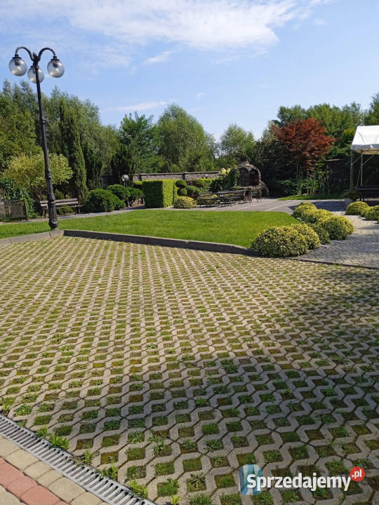 Lokal 900m2 Radom Piotra Skargi mazowieckie