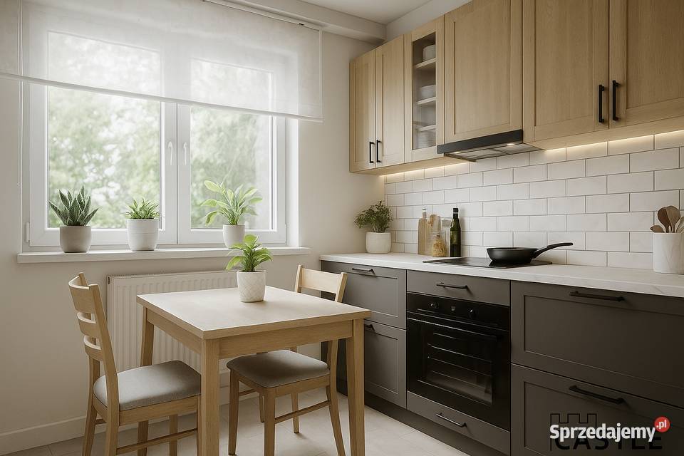 wizualizacje I dom rodziny I pod lasem I do do remontu Jantar