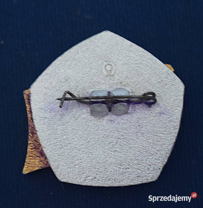 Odznaka Udarnika przodownika pracy XII Planu Pozostałe Chełmno