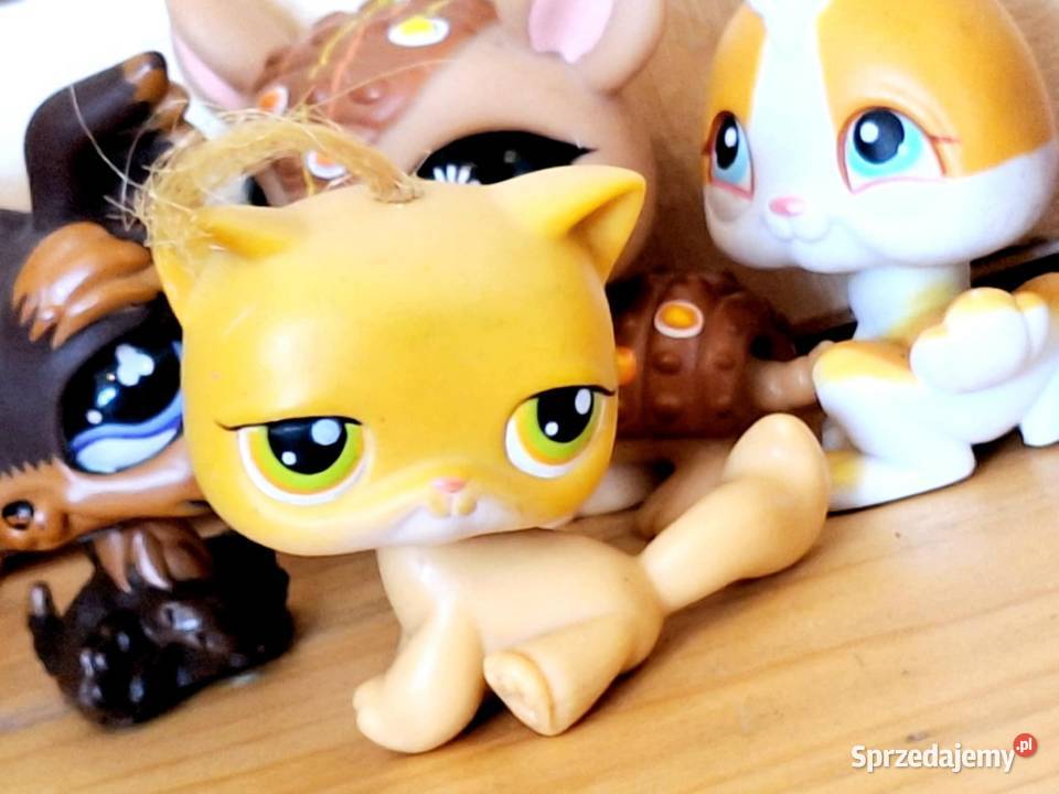 Shorthsir kotek kitka Littlest Pet Shop Hasbro Braniewo