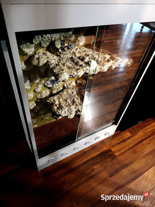 Terrarium wysokie 7010036 Ząbki sprzedam