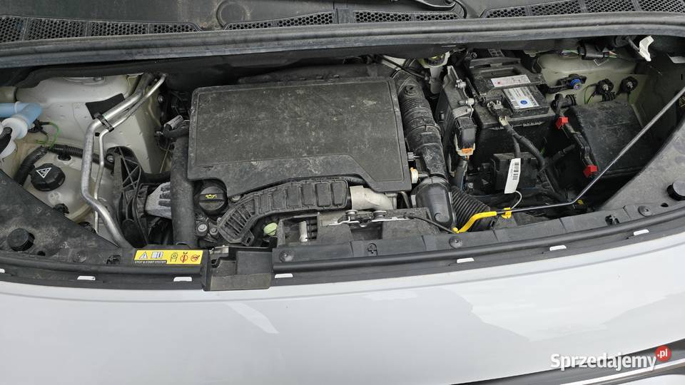 Fiat Doblo 12 B przebieg 16 43 000 PLN netto opolskie Nowy Świętów