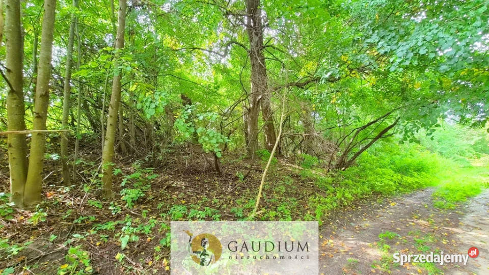 Działka budowlana z WZ Warmia Pieszkowo