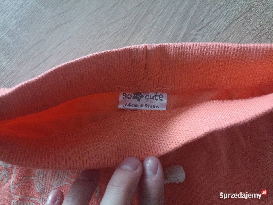 Spodnie chłopca 74 Kwidzyn sprzedam