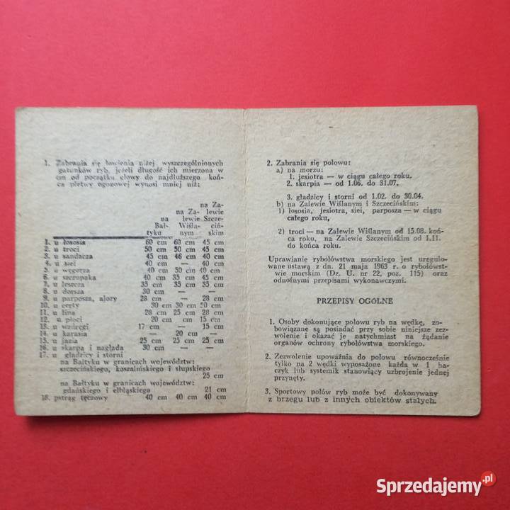 1908 Zezwolenie Na Rybołówstwo Morskie Antykwariat Szczecin