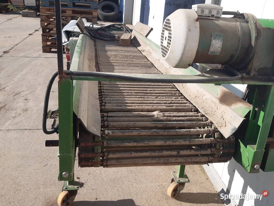 Przenośnik prętowy do warzyw Radostowice