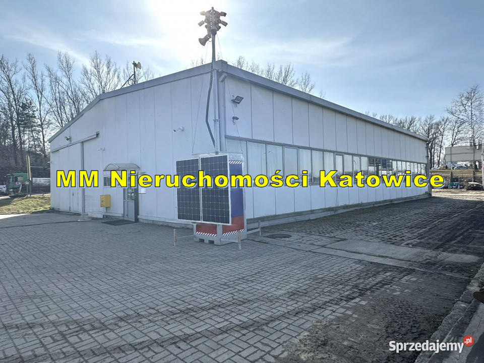 Hala wolnostojąca do wynajęcia Mysłowice plac