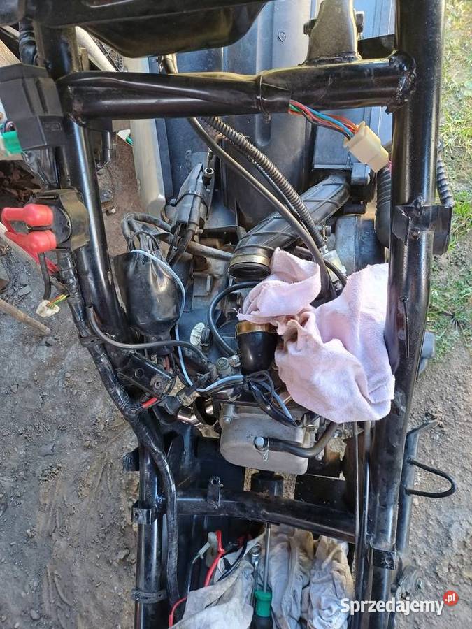 Skuter TORO akryl Gowino