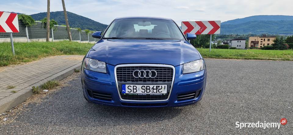 Audi A3 19 TDI Xenon Klima śląskie Bielsko-Biała