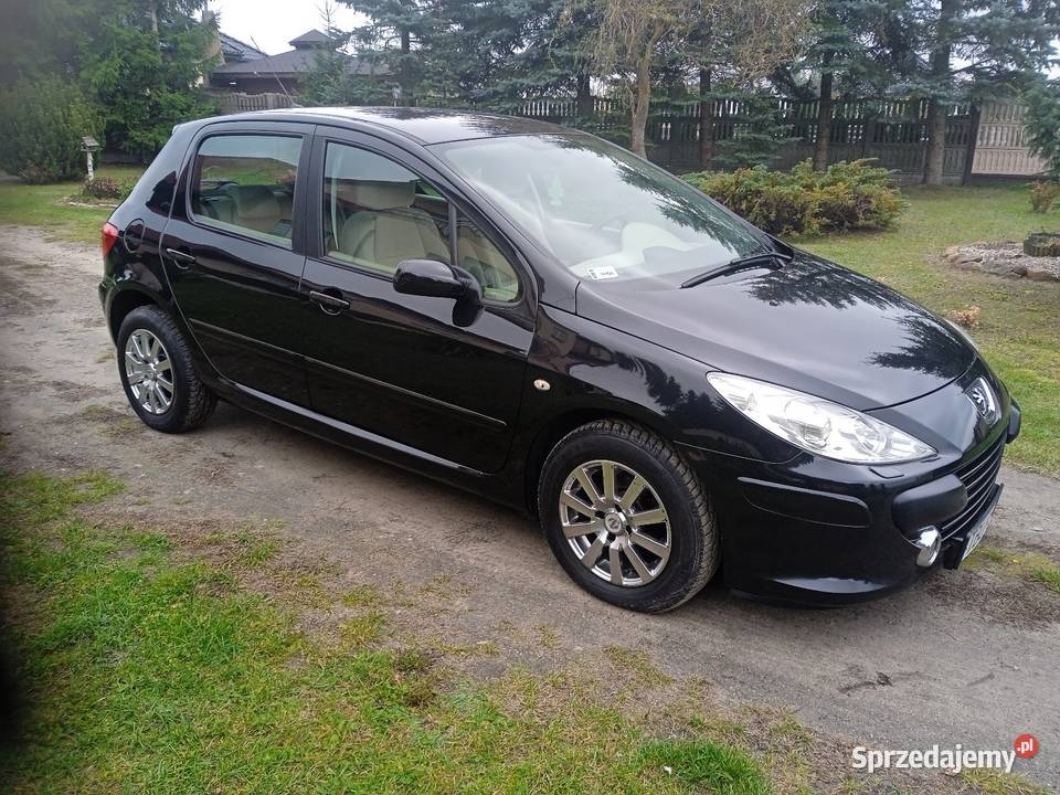 Peugeot 307 16 Benzyna160przebieg Super stan Łagów