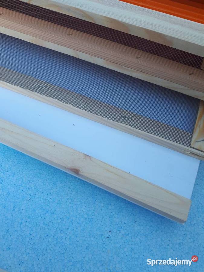 Ule wielkopolskie dennica z poławiaczem pyłku Tanina