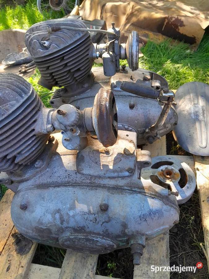 Silnik pannonia 2 sztuki Świerzawa