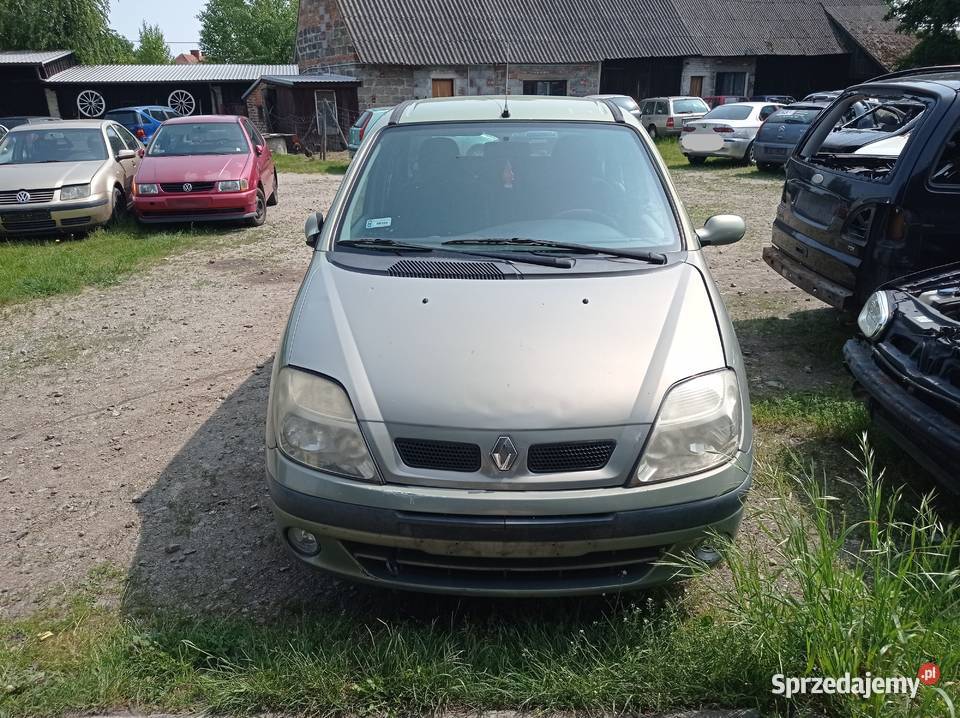 Renault Megane Scenic 19 47 kW 2002 r dawca wielkopolskie Szklarka Myślniewska