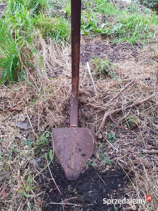 Głębosz UNIA KRET B w stanie Tczew