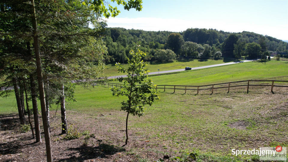 sprzedaży działki TeodorówkaKolonia 4182m2 Teodorówka-Kolonia