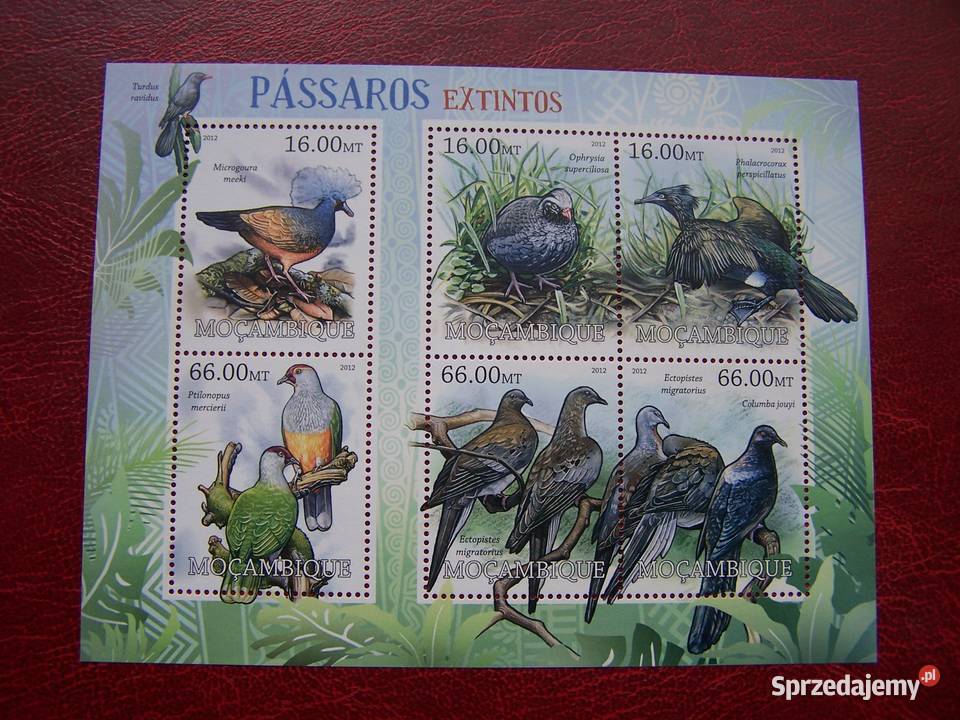 Mozambik 2012 MNH Fauna Ptaki Tychy
