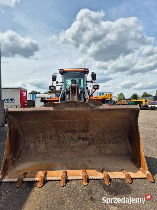 Ladowarka kolowa Doosan Warszawa